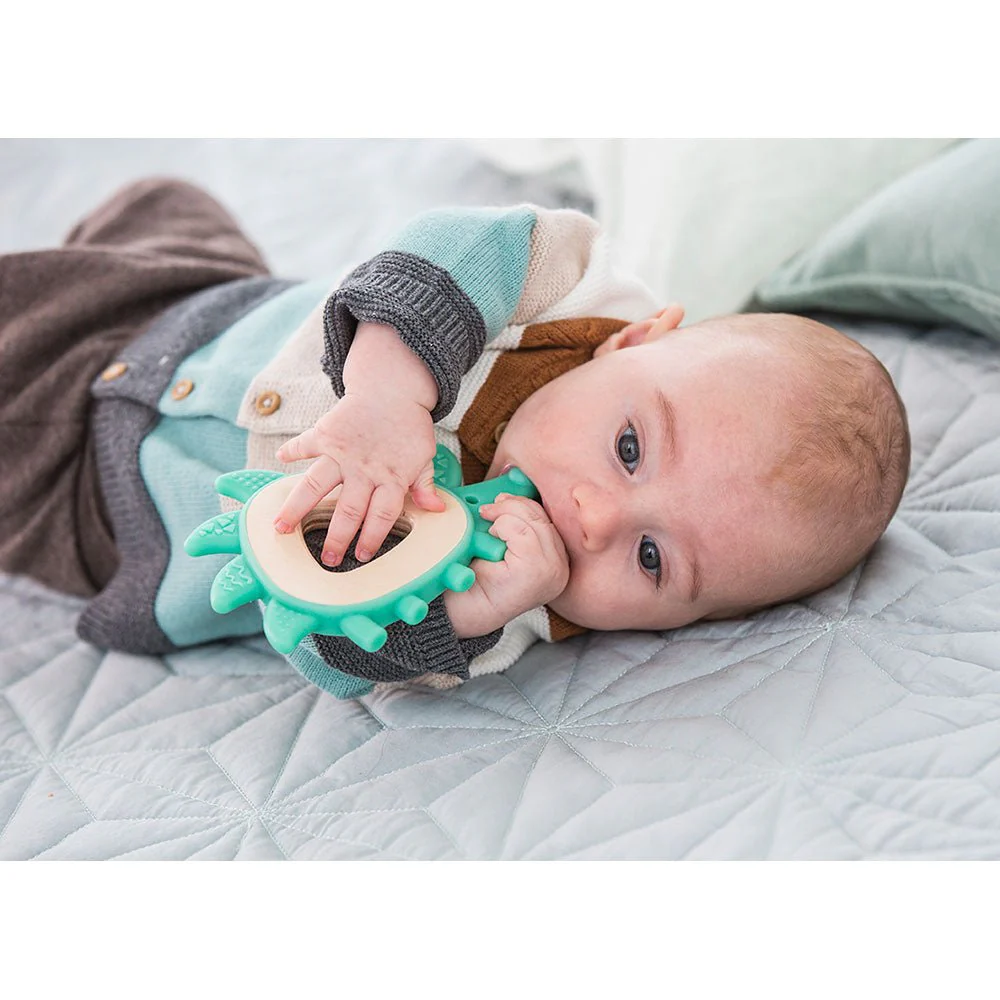 herisson-de-dentition-fsc-100-hape