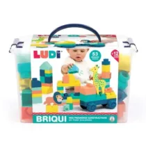 jouet de construction valisette briqui – ludi